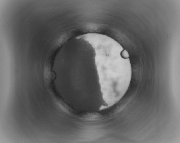 X0000111370642200907311034