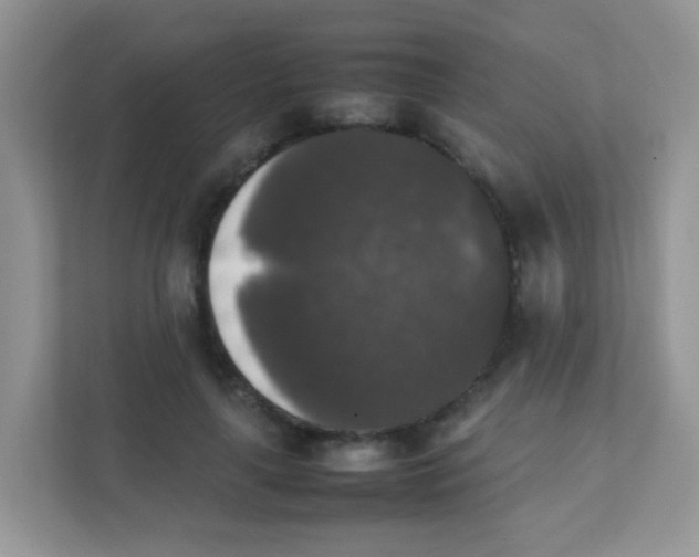 X0000111370643200907311034