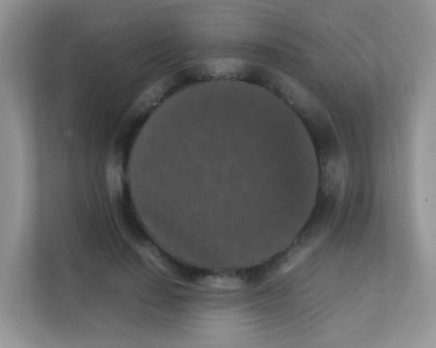 X0000111370644200907311034