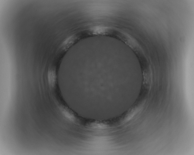 X0000111370648200907311034