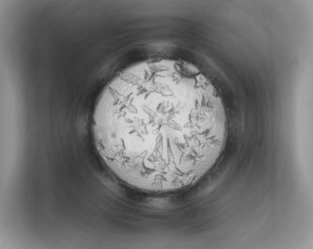X0000111370649200907311034