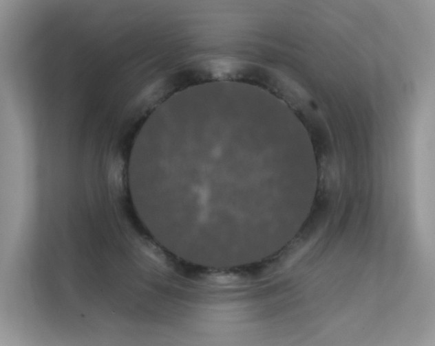 X0000111370650200907311034