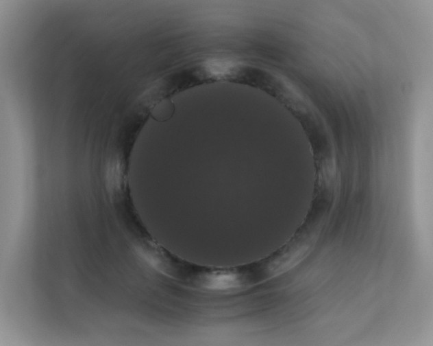 X0000111370651200907311034