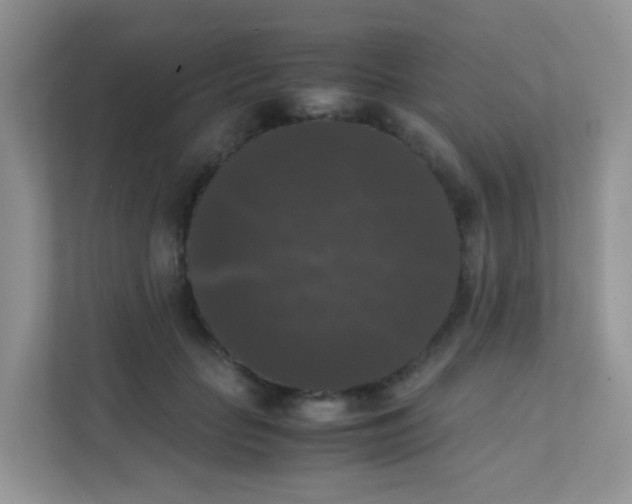 X0000111370653200907311034