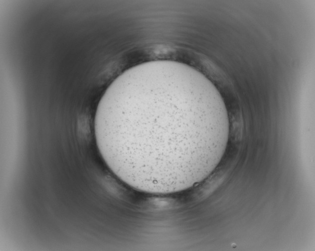 X0000111370654200907311034