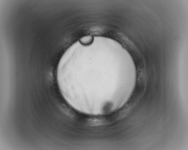 X0000111370655200907311034