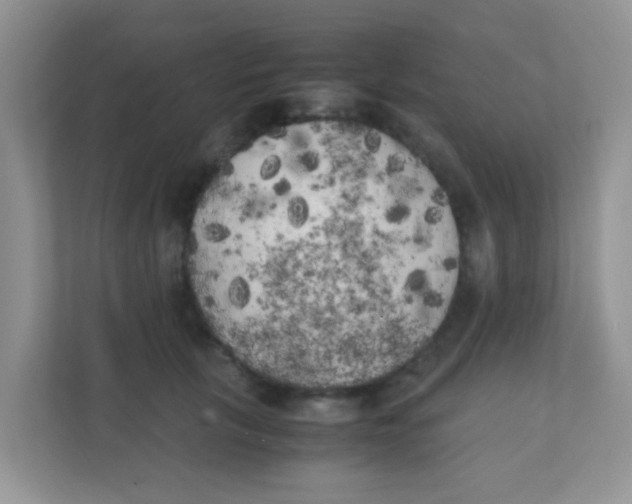 X0000111370657200907311034