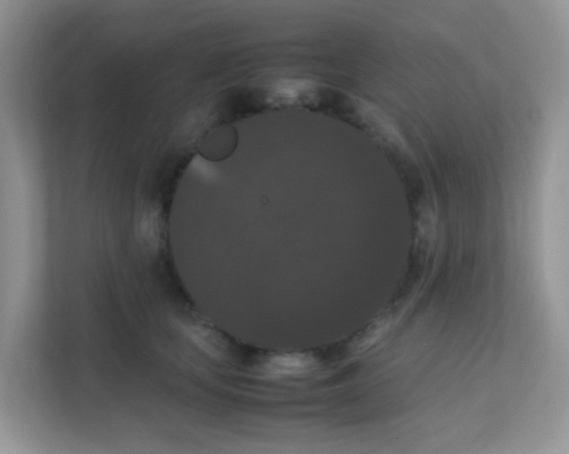 X0000111370659200907311034