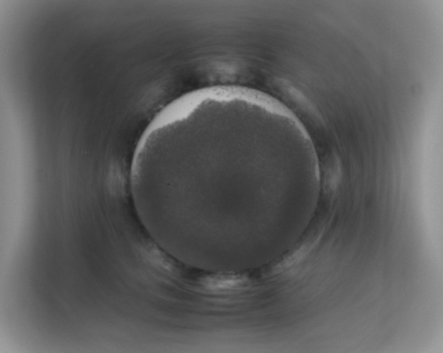 X0000111370661200907311034