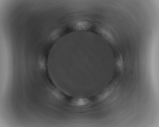 X0000111370663200907311034