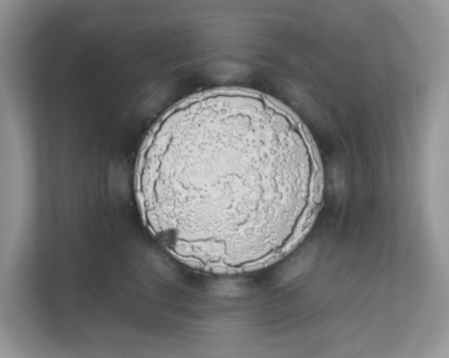 X0000111370664200907311034