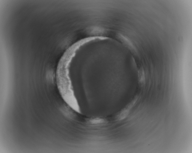 X0000111370669200907311034