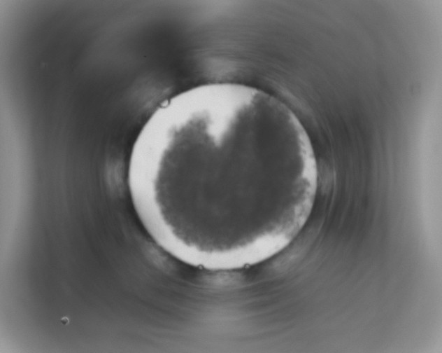 X0000111370670200907311034