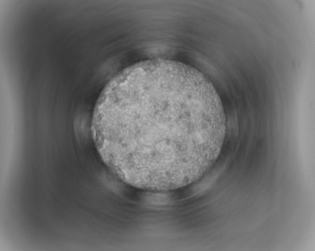 X0000111370671200907311034