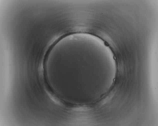 X0000111370674200907311033