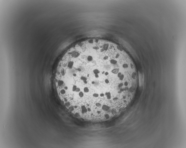 X0000111370675200907311033