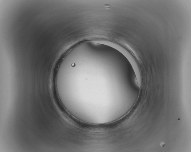 X0000111370677200907311033