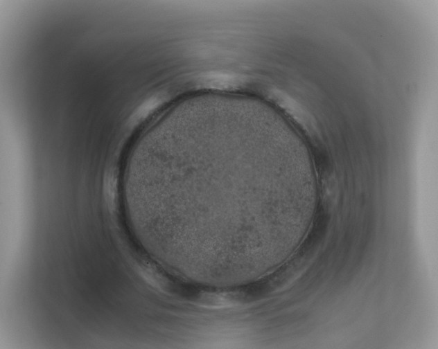 X0000111370679200907311033