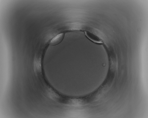 X0000111370681200907311033