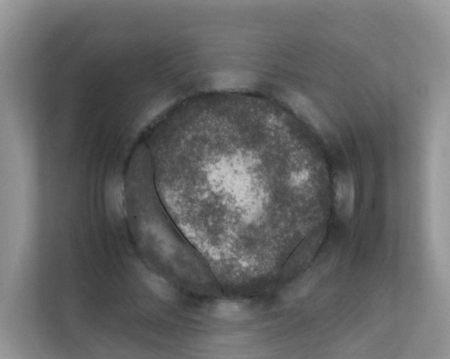 X0000111370684200907311033