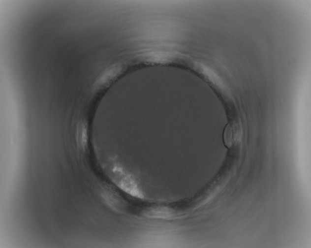X0000111370685200907311033