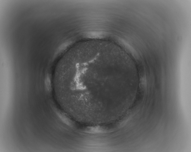 X0000111370688200907311033