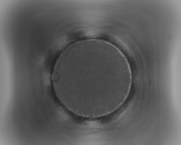 X0000111370689200907311033
