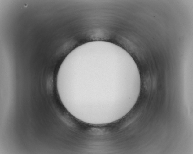 X0000111370690200907311033