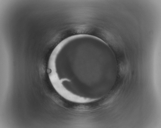 X0000111370691200907311033