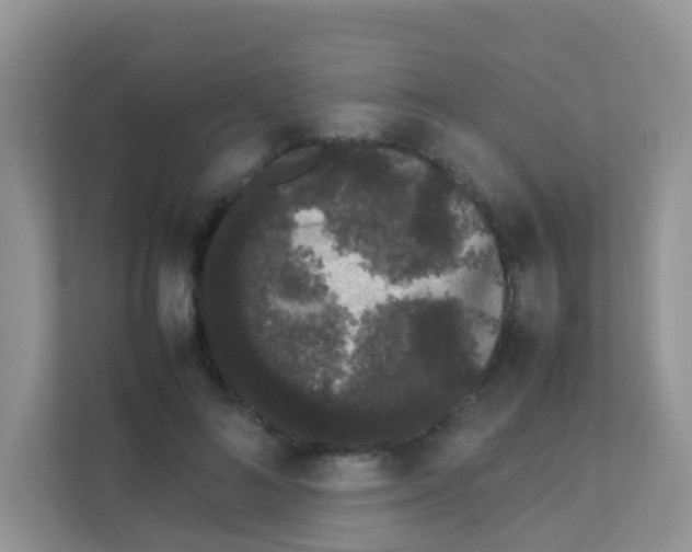 X0000111370692200907311033