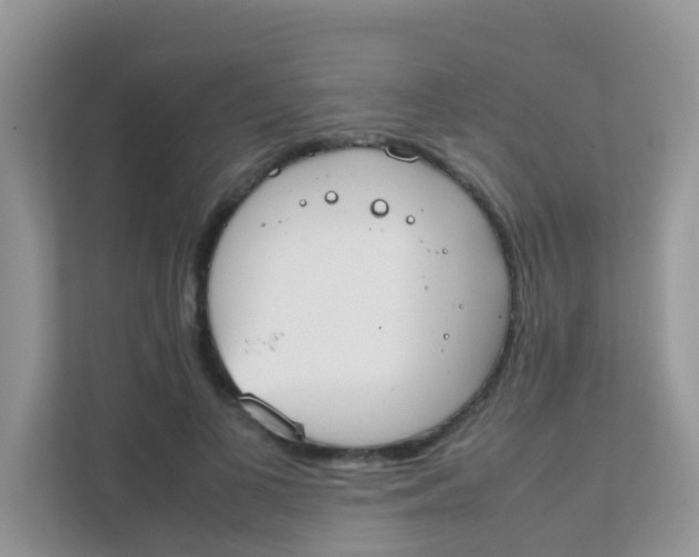 X0000111370693200907311033