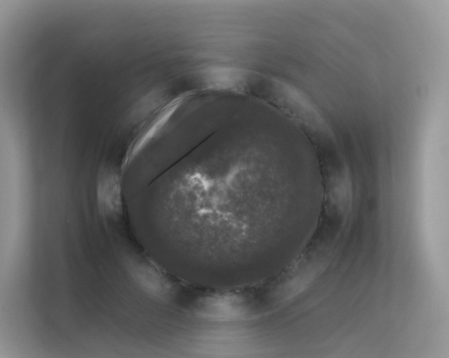 X0000111370696200907311033