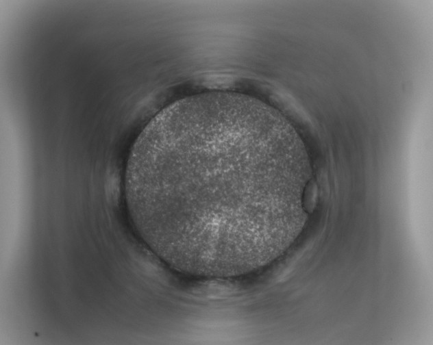 X0000111370697200907311033