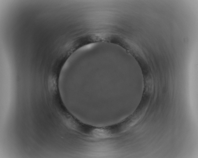 X0000111370699200907311033