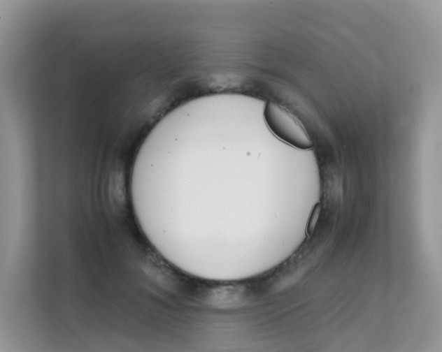 X0000111370700200907311033