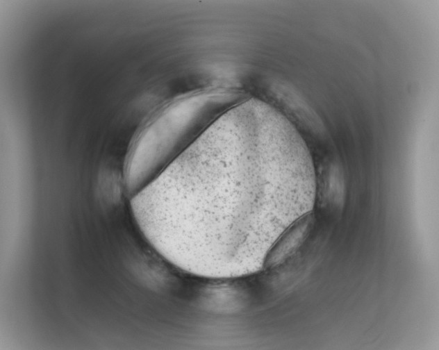 X0000111370704200907311033