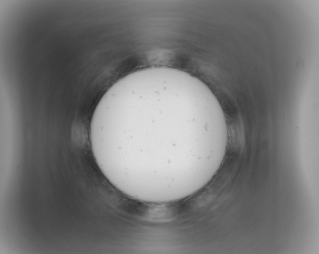 X0000111370705200907311033