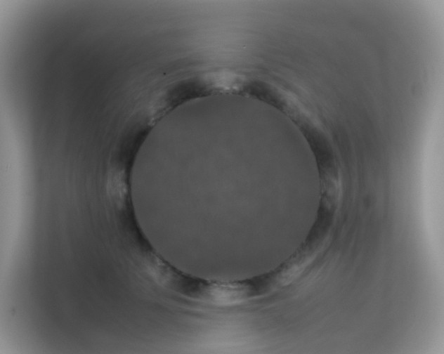 X0000111370707200907311033