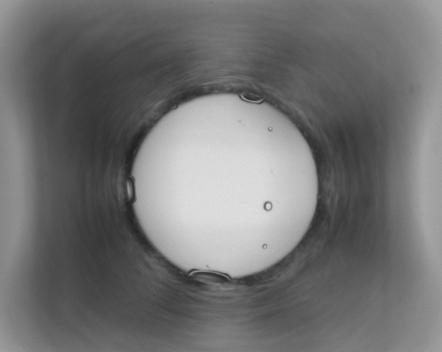 X0000111370708200907311033