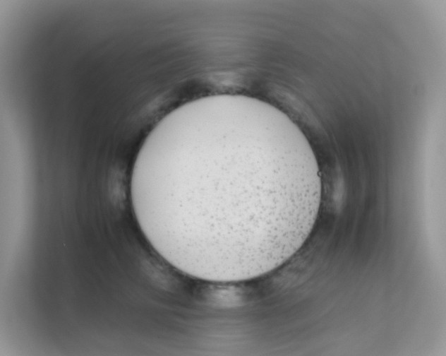 X0000111370710200907311033
