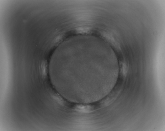 X0000111370712200907311033