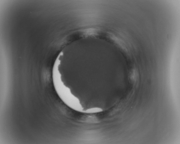 X0000111370715200907311033