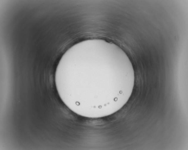 X0000111370716200907311033
