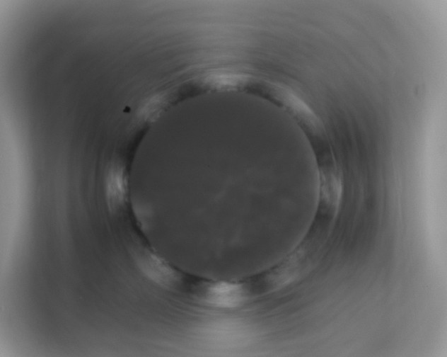 X0000111370718200907311033
