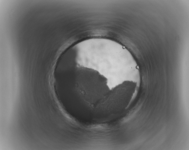 X0000111370721200907311032