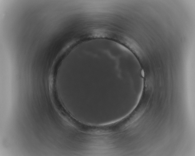 X0000111370722200907311032