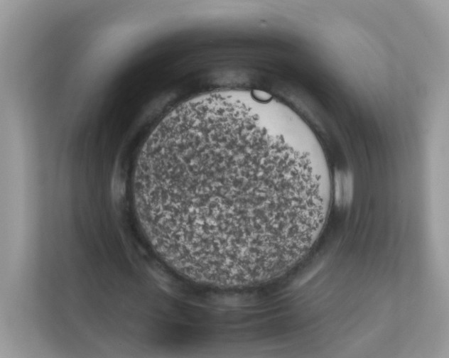 X0000111370723200907311032