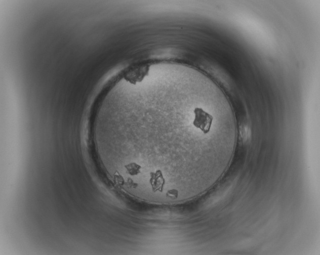 X0000111370724200907311032