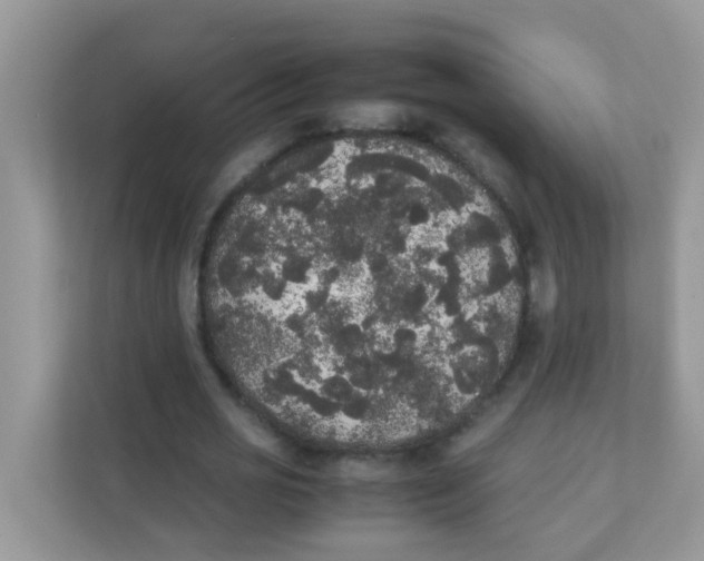 X0000111370725200907311032