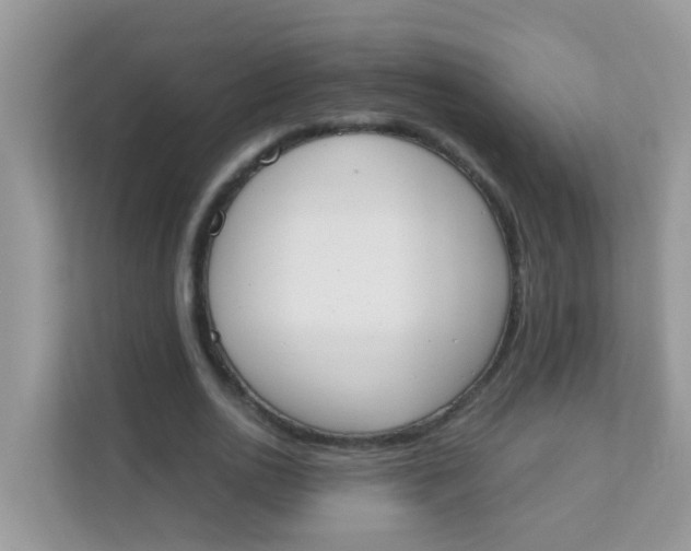 X0000111370726200907311032